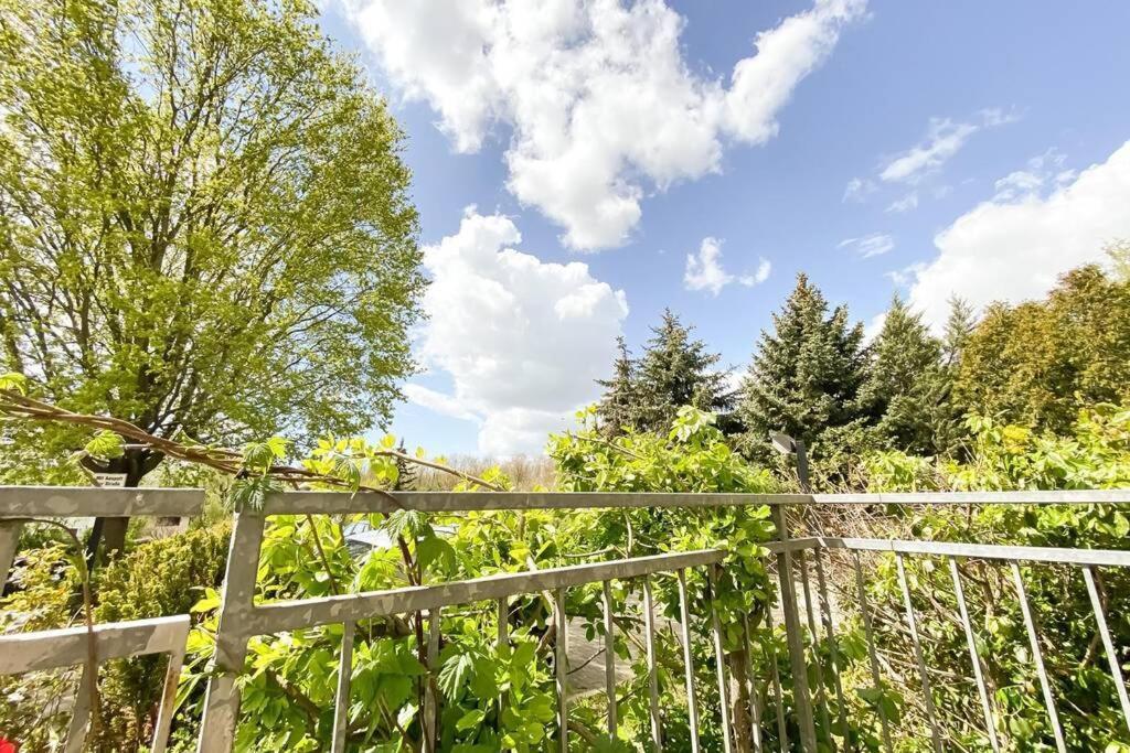 Am Auensee Mit Großer Terrasse, Grill Und Privat-parkplatz Apartment *